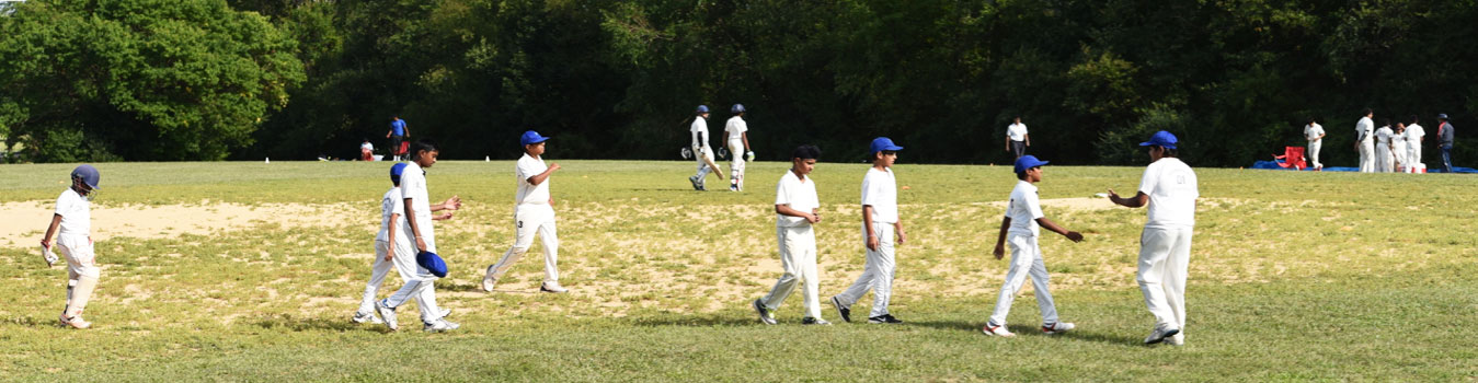 Cricket in Washington D.C.